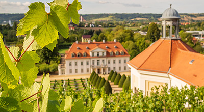 Schloss Wackerbarth und Weinberge bei Radebeul