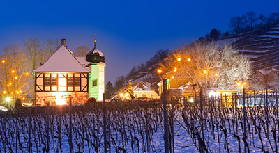 Weinbergglühen Hoflößnitz