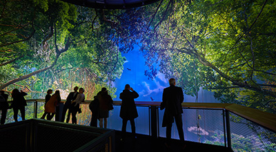 Panometer Dresden - Amazonien | Foto: asisi