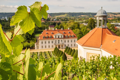 Schloss Wackerbarth in Radebeul